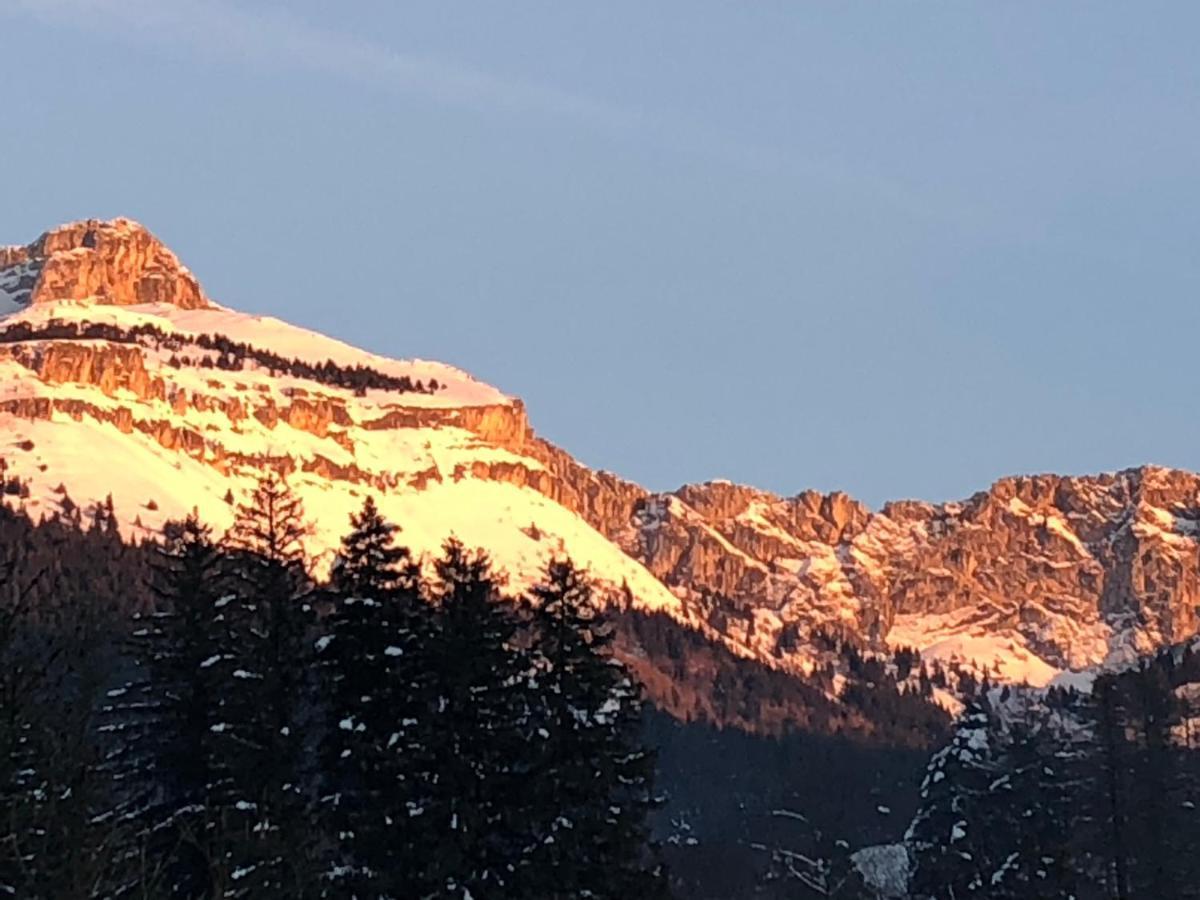 Cretes Du Vercors Vue Magnifique Villard-de-Lans Bagian luar foto