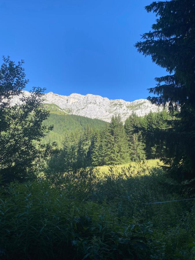 Cretes Du Vercors Vue Magnifique Villard-de-Lans Bagian luar foto